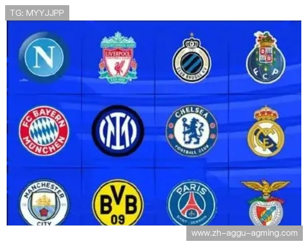 意甲球队在欧冠积分及晋级形势详解