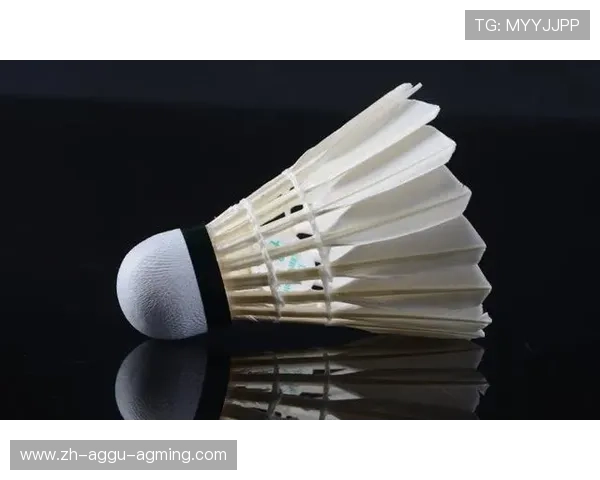 羽毛球球托是什么