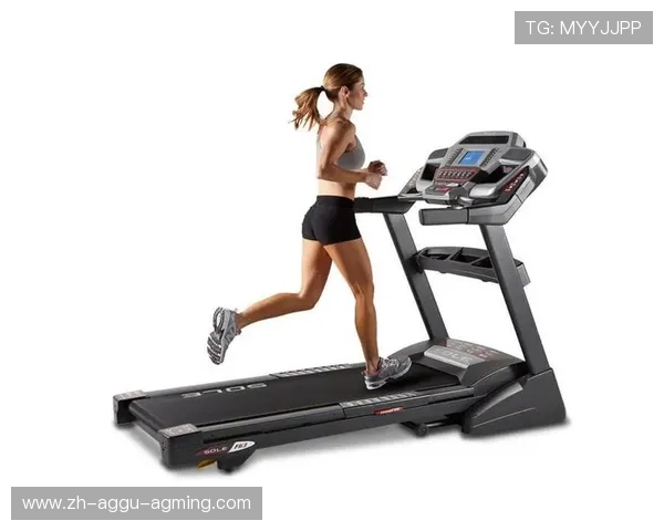 腰背训练健身器材种类与使用技巧一览